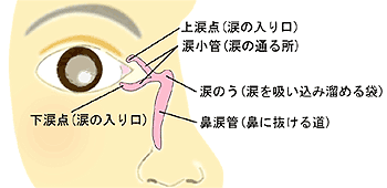 ゾビラックス眼軟膏 塗り方